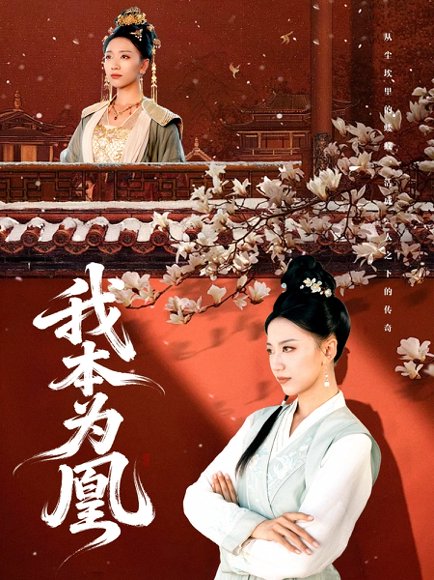 我本为凰（82集）傅宇航&刘继徽 高清完整版