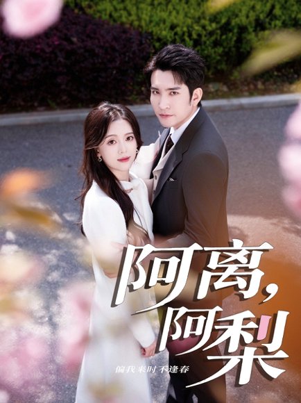 阿离阿梨（60集）王已歌＆唐敬 高清完整版