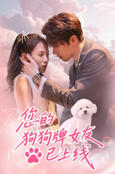 您的狗狗牌女友已上线（60集）裘哲夫＆陆文欣 高清完整版